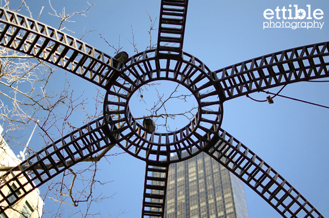 Roosevelt Island Walk