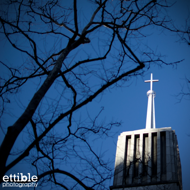 Roosevelt Island Walk