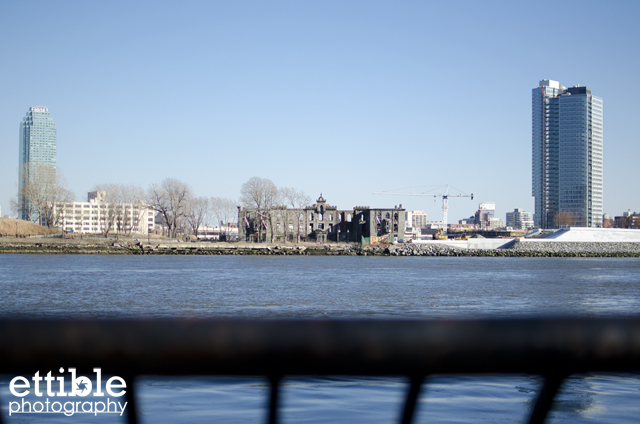 Roosevelt Island Walk