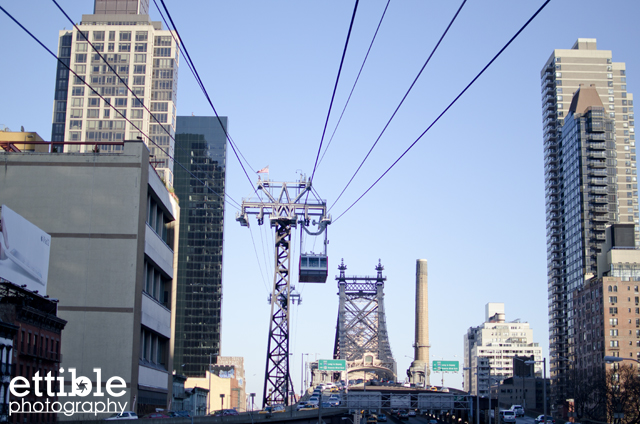 Roosevelt Island Walk