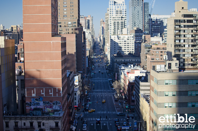 Roosevelt Island Walk