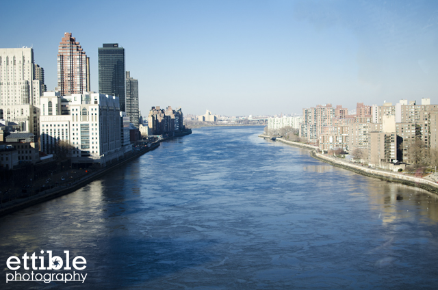 Roosevelt Island Walk