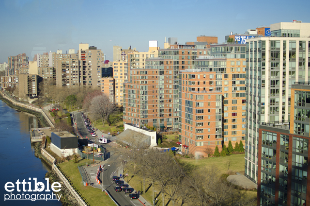 Roosevelt Island Walk