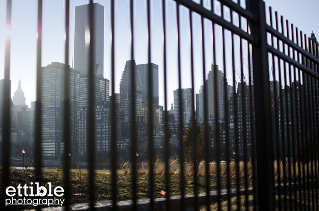 Roosevelt Island Walk