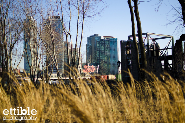 Roosevelt Island Walk