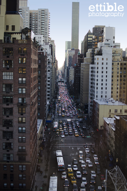 Roosevelt Island Walk