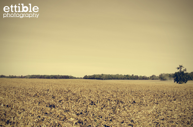 Empty Field